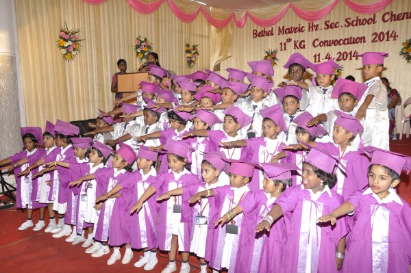 KG Graduation Kids in Costume