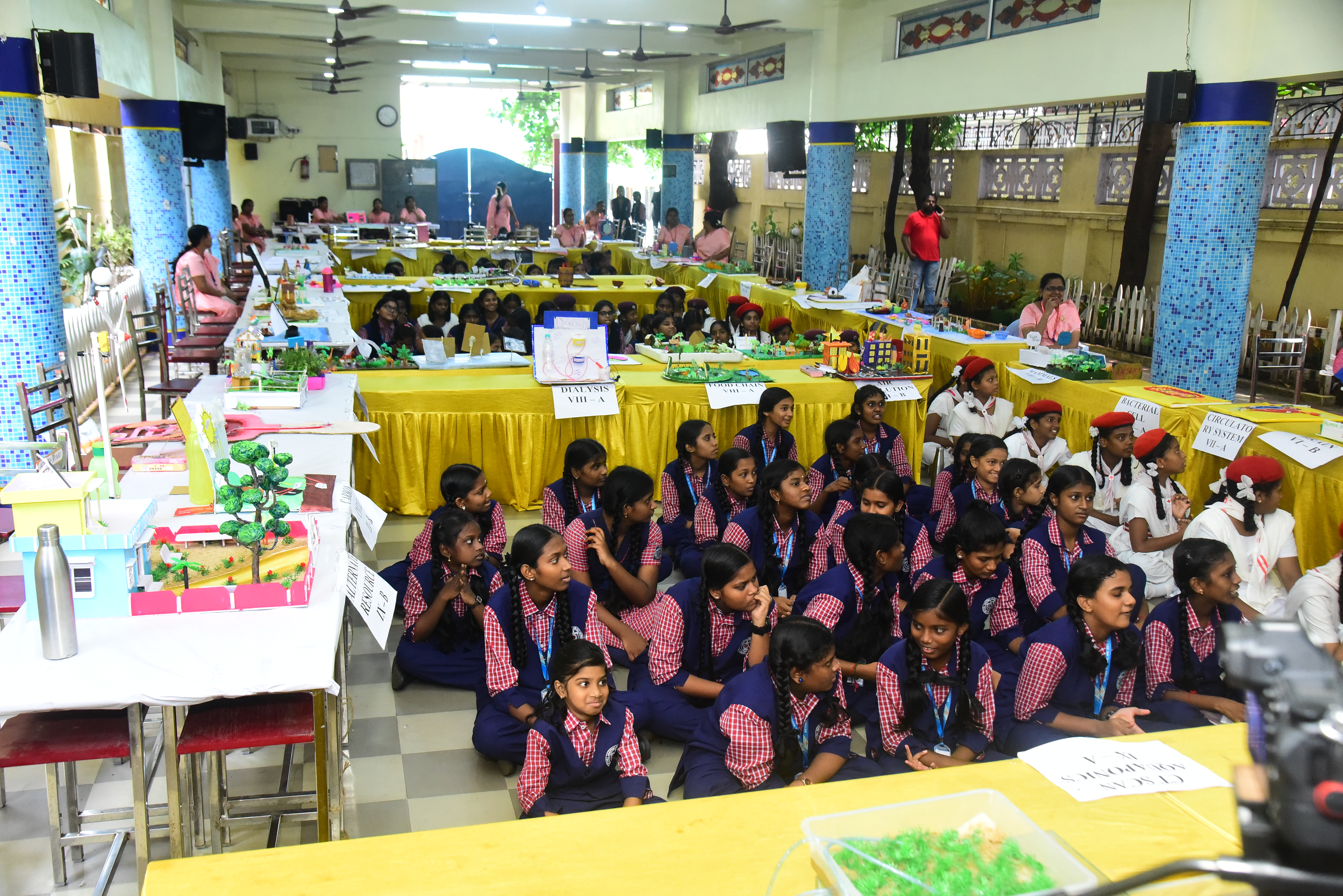 Science Project Expo Display